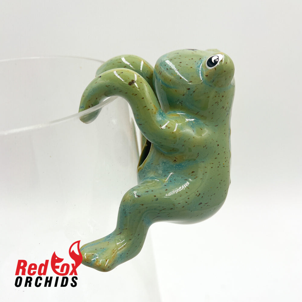 Frog Pot Sitters
