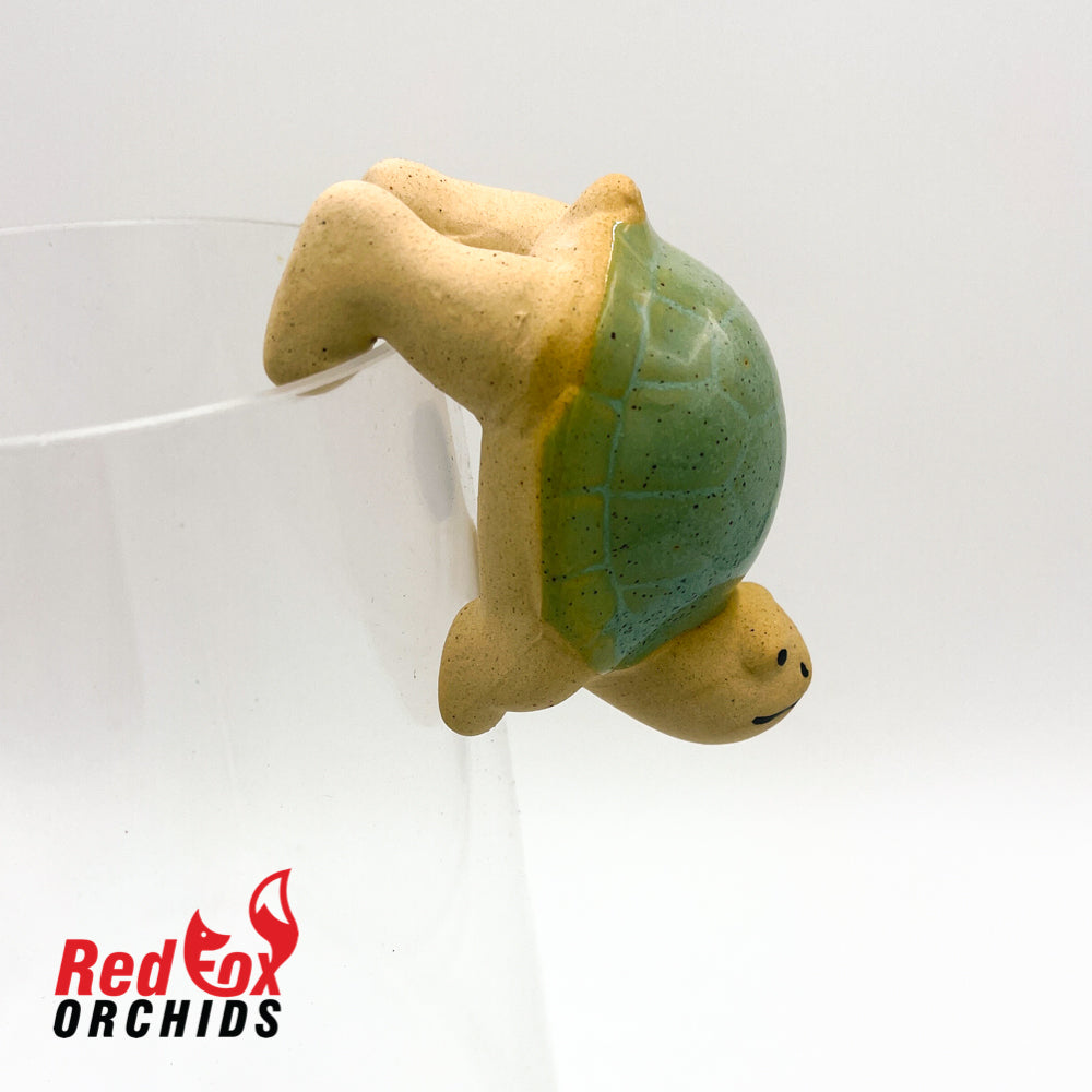 Turtle Pot Sitter