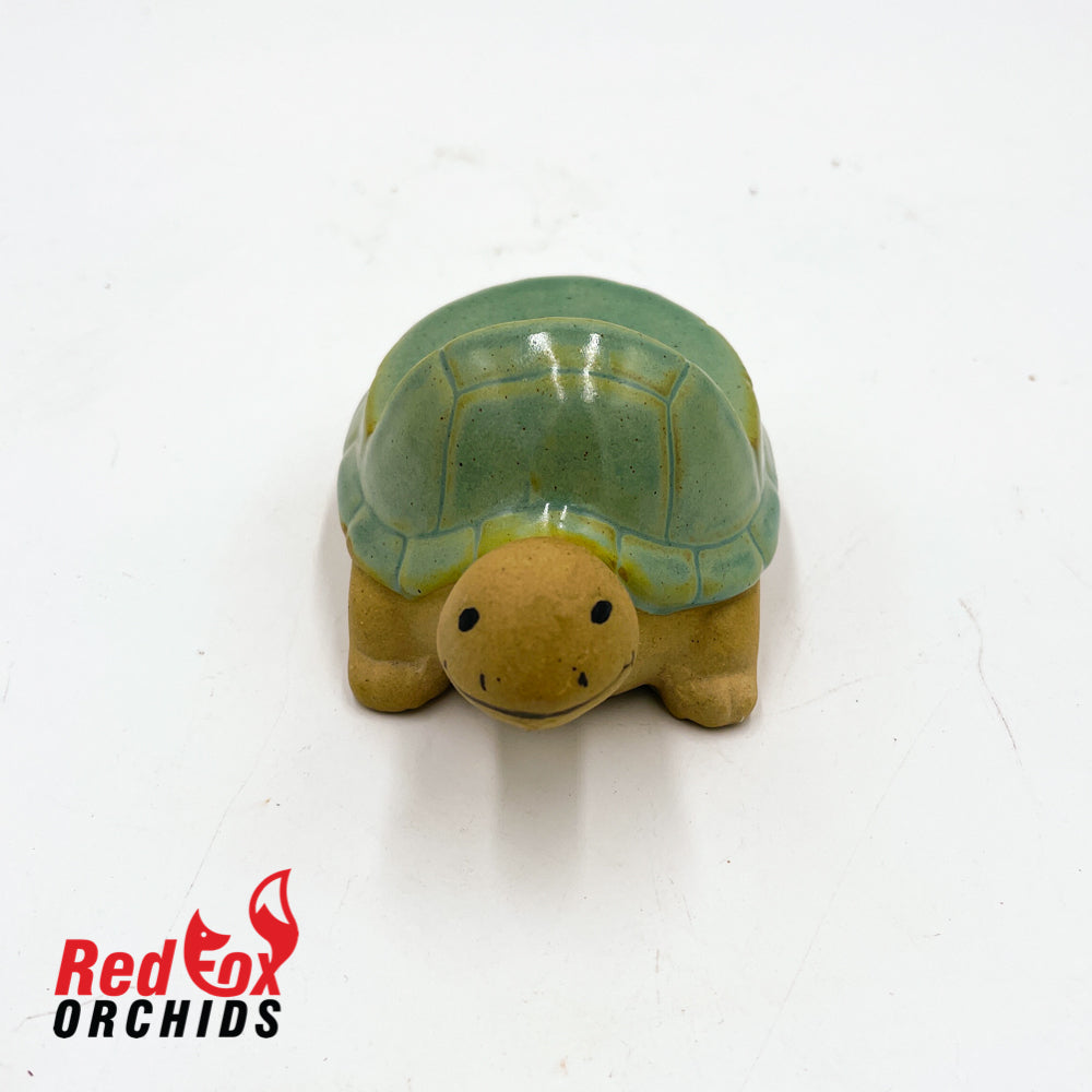 Turtle Pot Feet