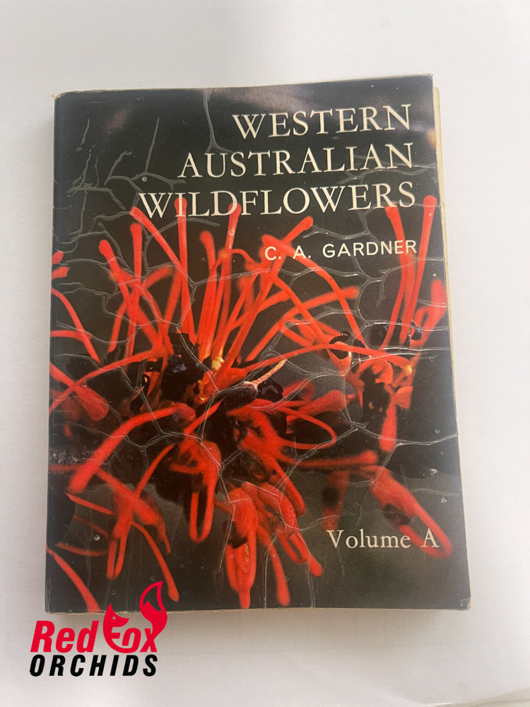 Western Australian Wildflowers Vol A / C.A.Gardner Paperback