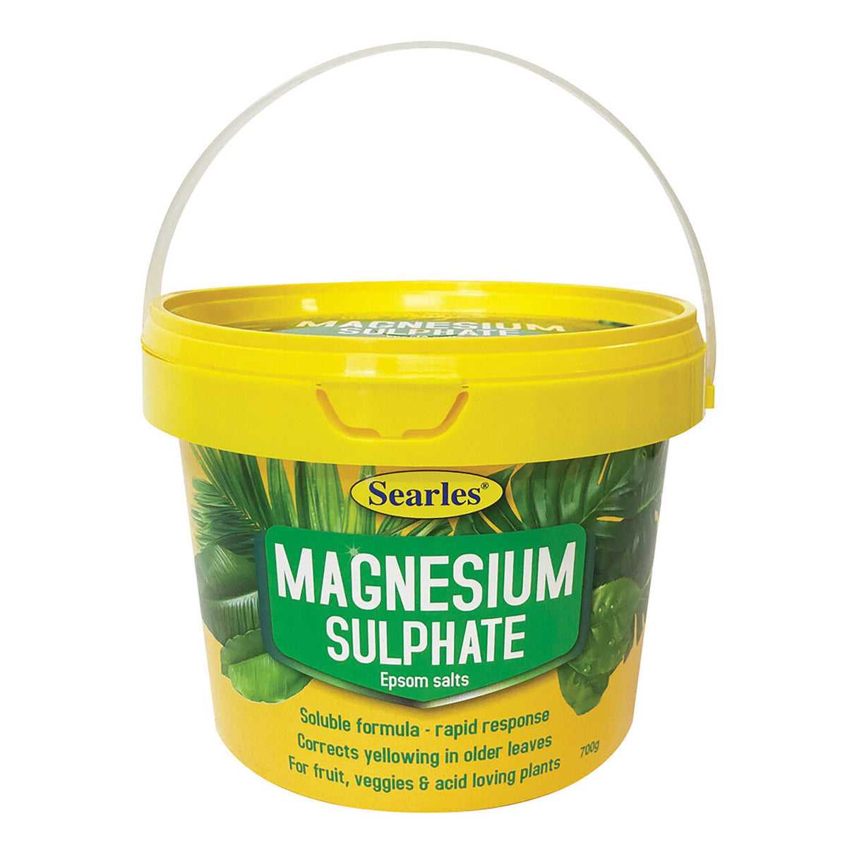 Magnesium Sulphate