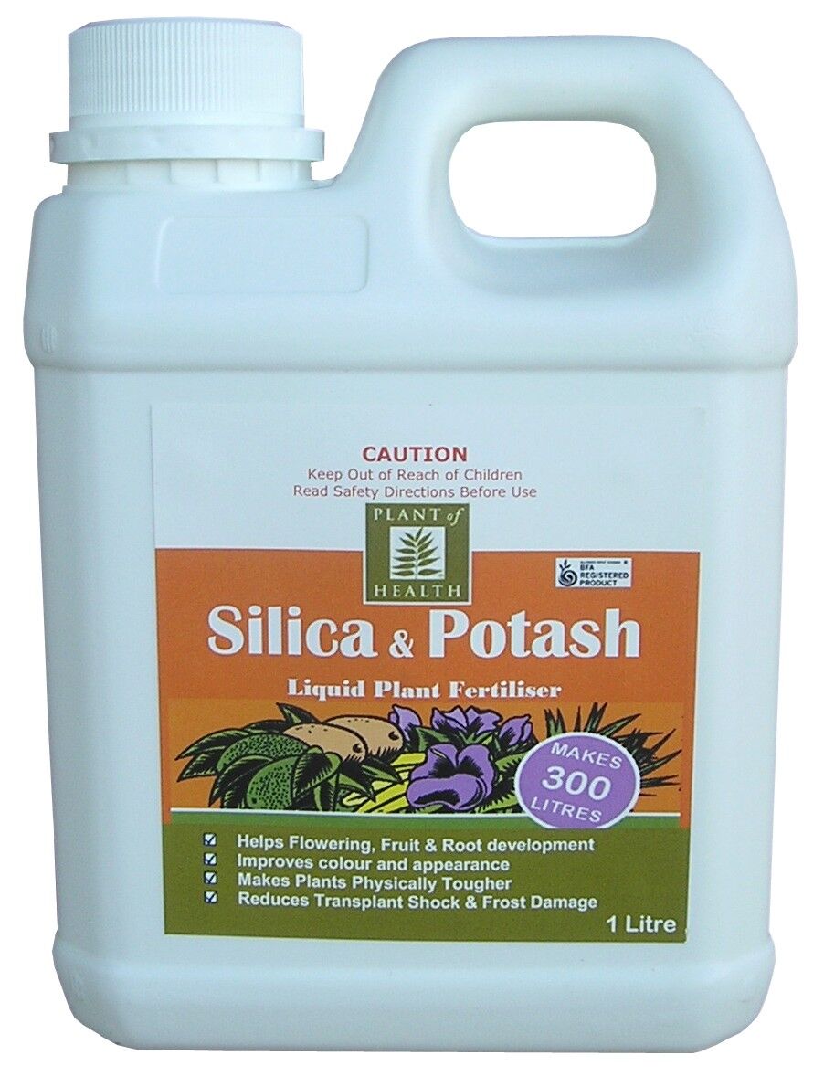 Silca and Potash