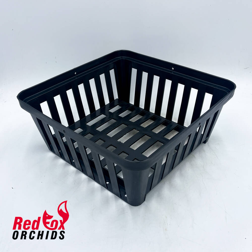 P&U Square Vanda Basket 250mm