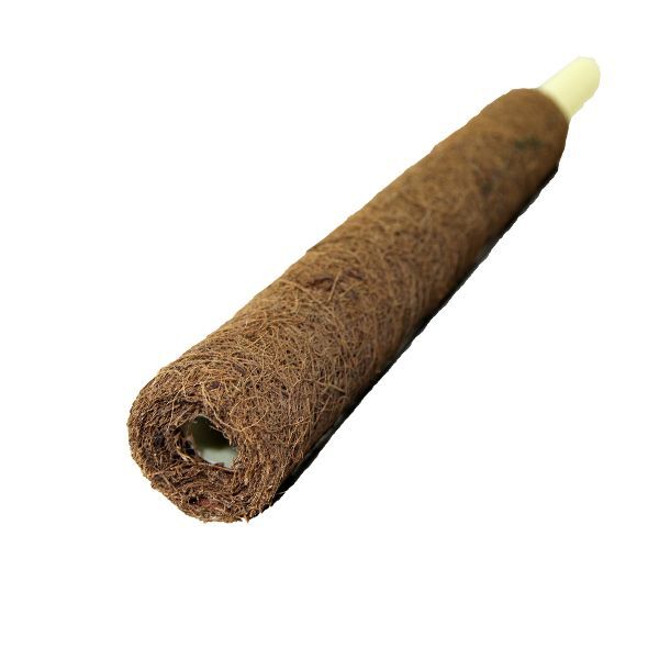 Coir Pole with Jute String