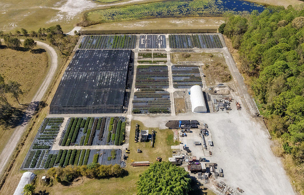 New Nursery Location