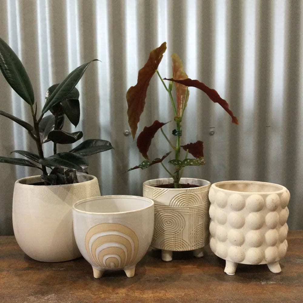 Display Pots