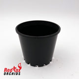 100mm Squat Plastic Pot