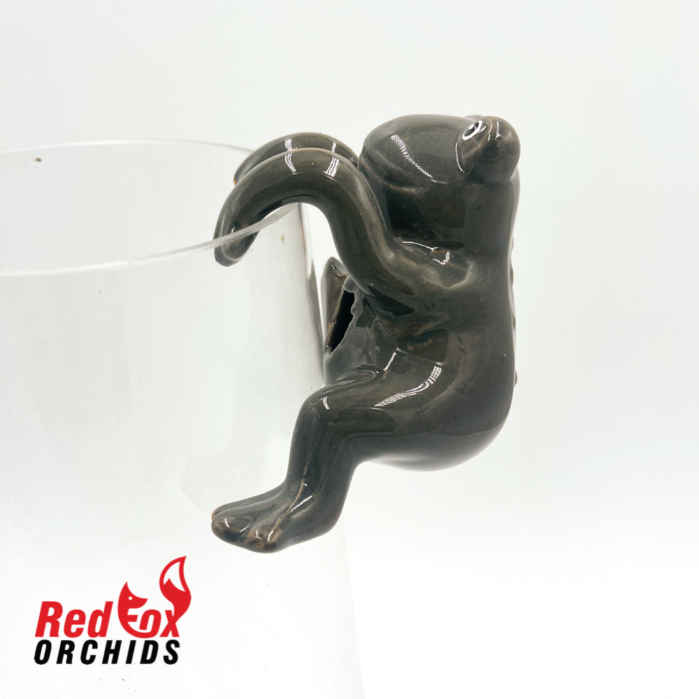 Frog Pot Sitters