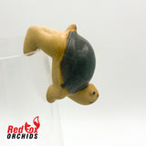 Turtle Pot Sitter