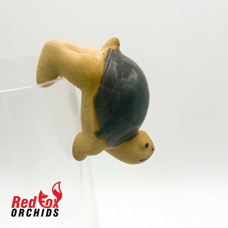 Turtle Pot Sitter