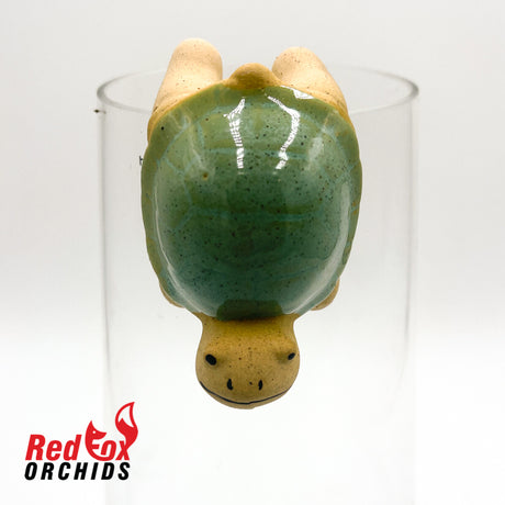 Turtle Pot Sitter