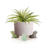 Frog Pot Feet