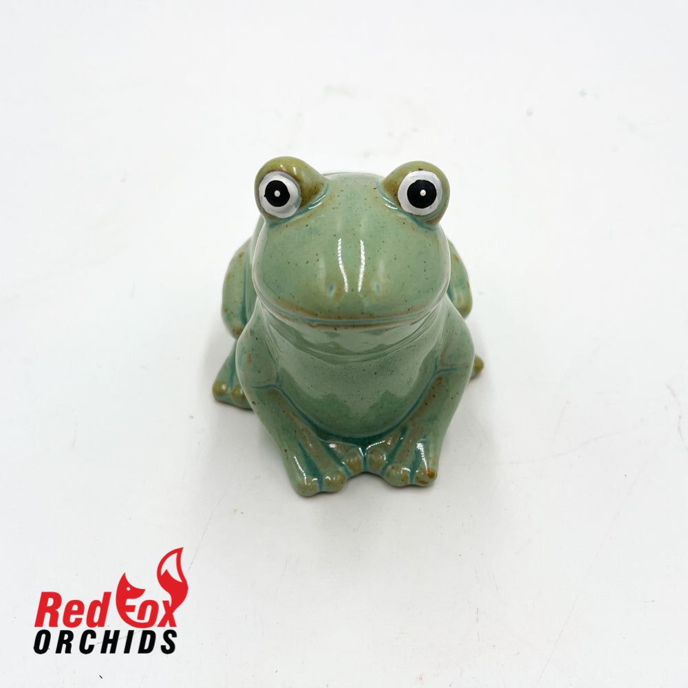 Frog Pot Feet