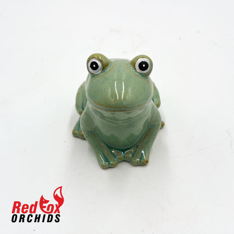 Frog Pot Feet
