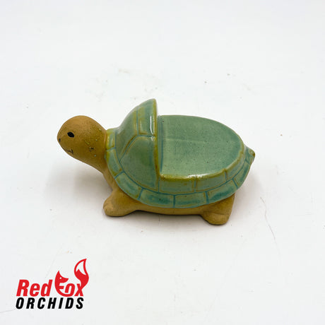 Turtle Pot Feet