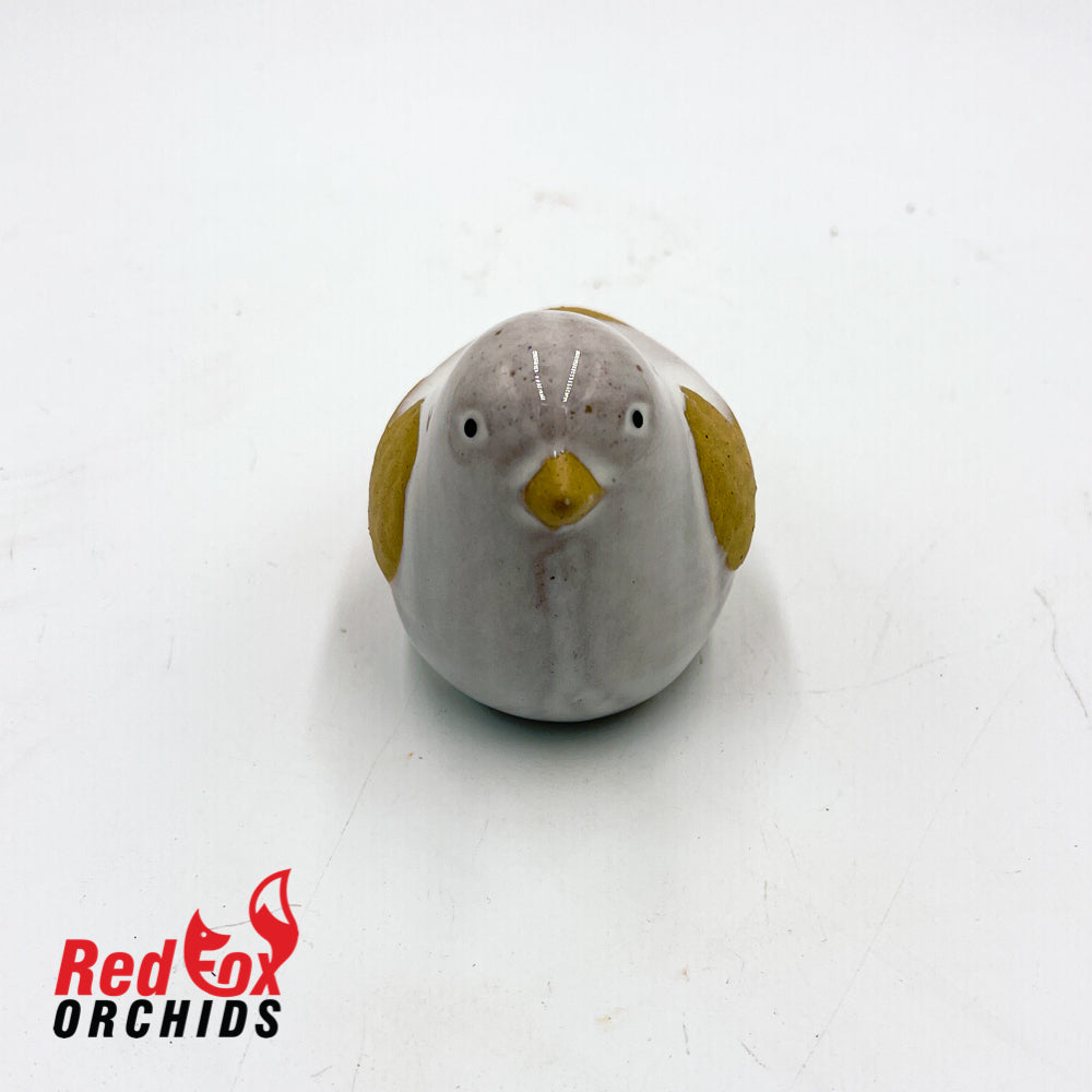 Bird Pot Feet