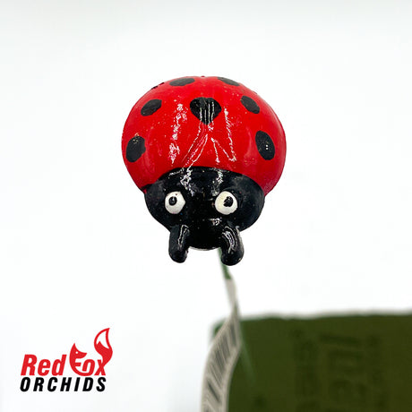 Ladybug on a stick