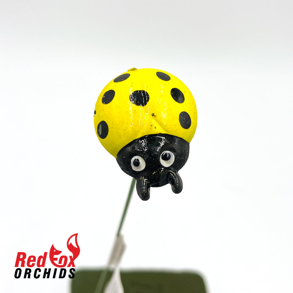 Ladybug on a stick
