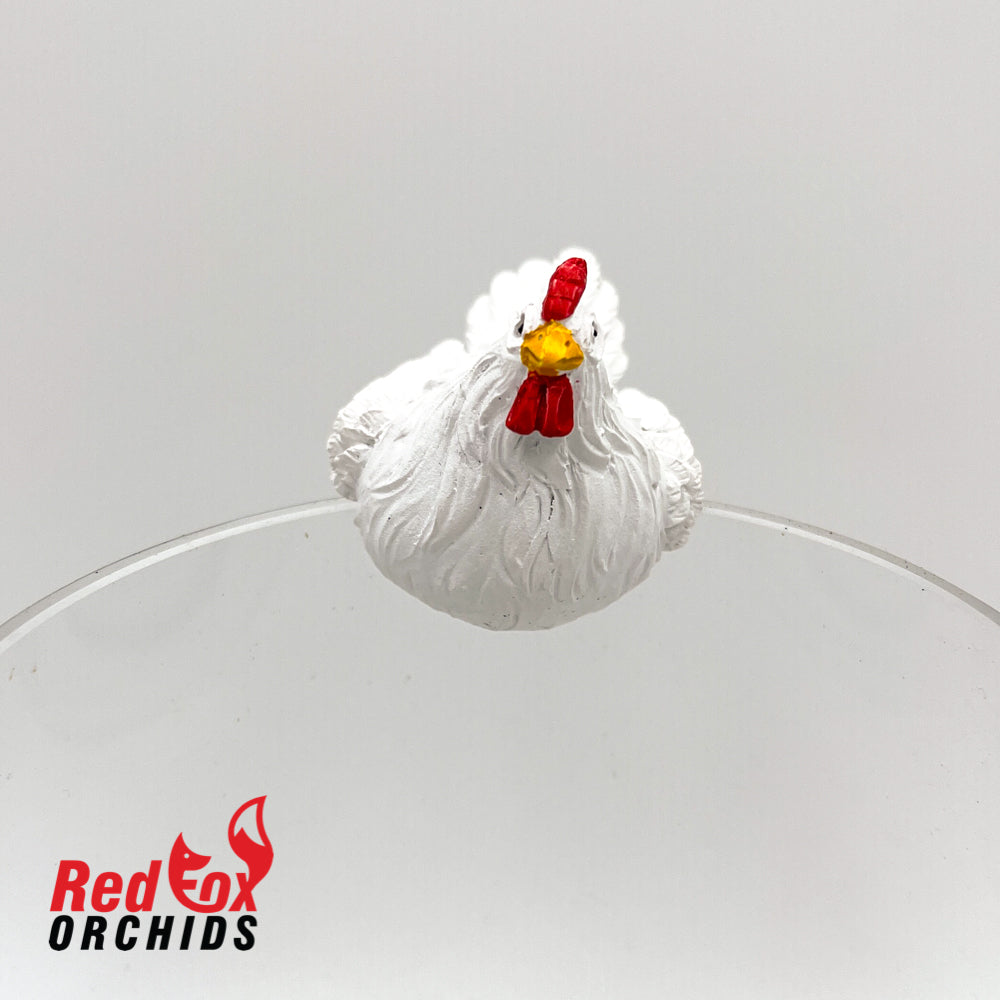 Chicken Pot Sitter