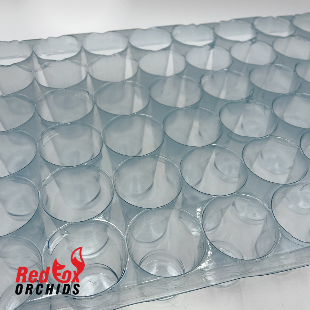 60 cell plug tray clear