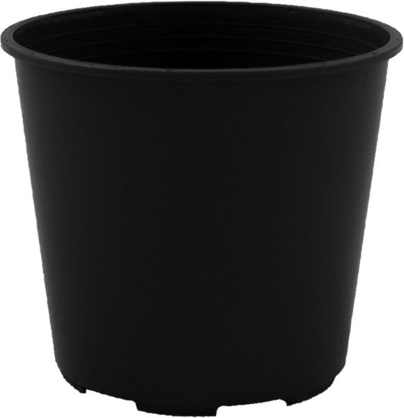 55mm Pot