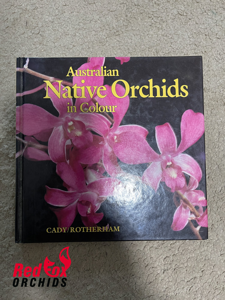 AUSTRALIAN NATIVE ORCHIDS IN COLOUR BY CADY ROTHERHAM 1988