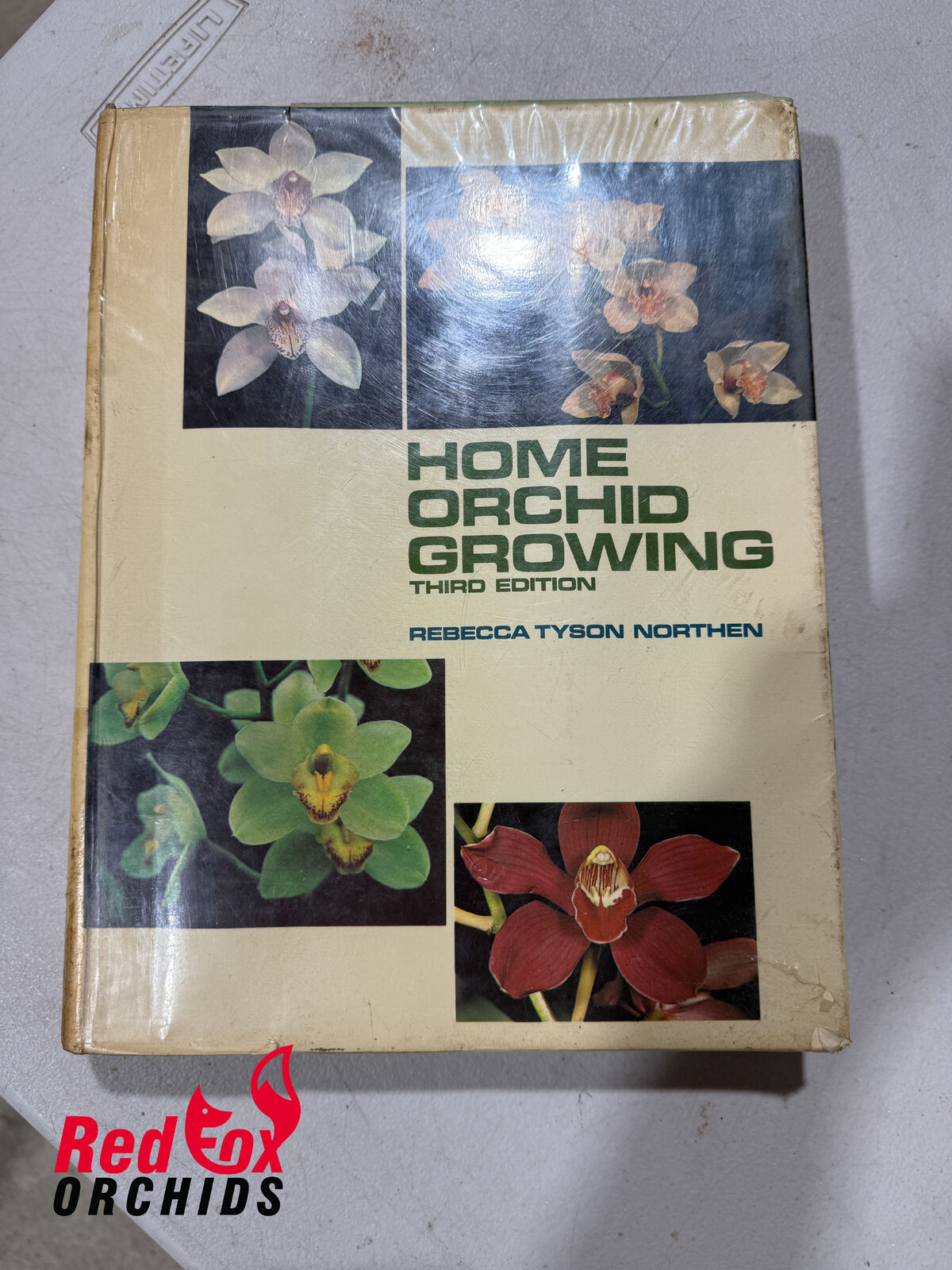 Home Orchid Growing by Rebecca Tyson Northern