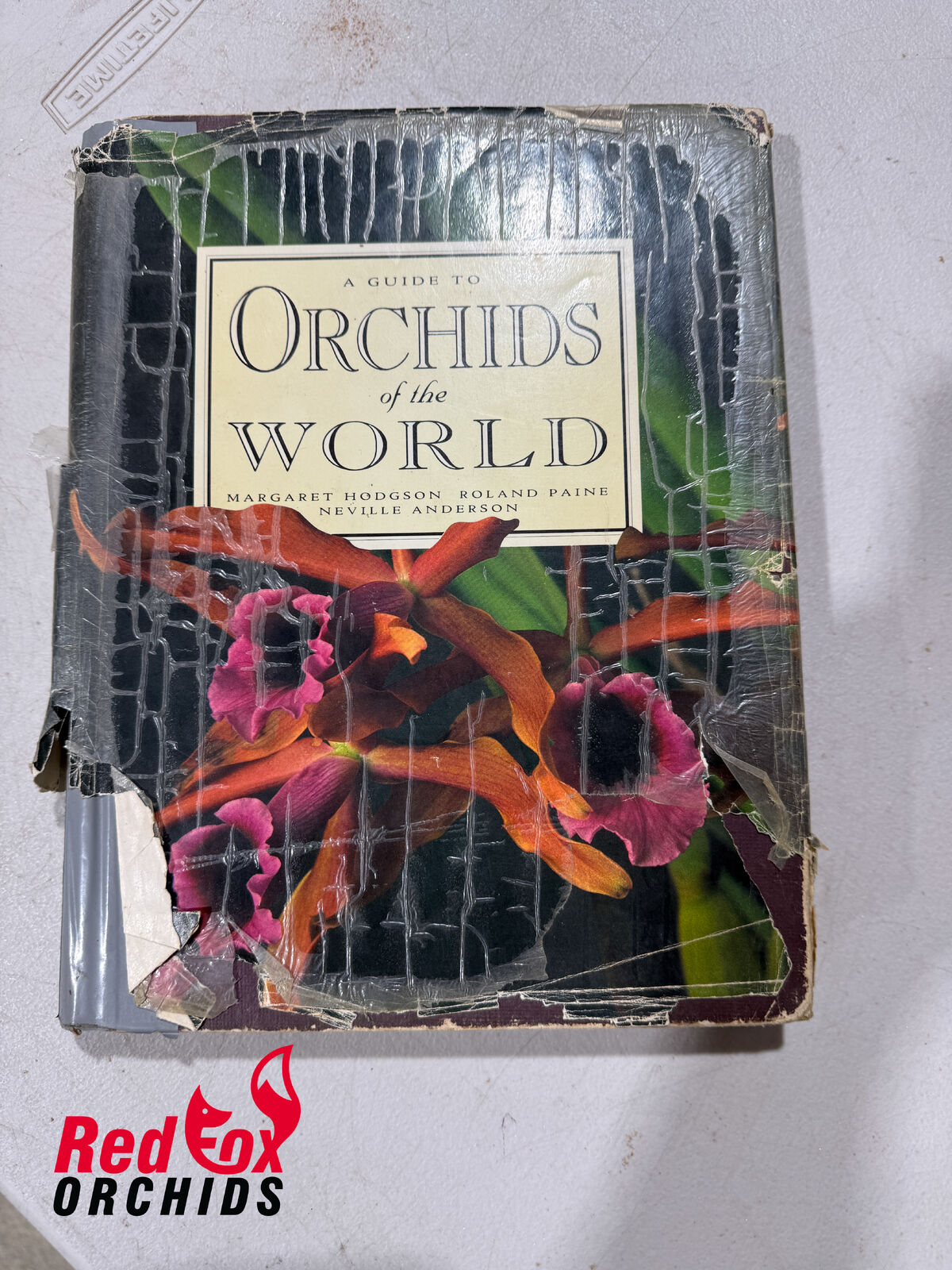 A Guide to Orchids of the World by Margaret Hodgson, Roland Paine and Neville Anderson