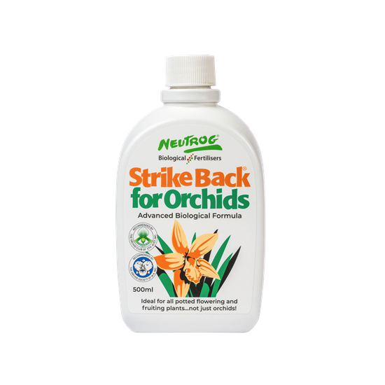 Strike Back for Orchids