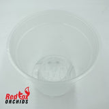 150mm Teku Clear Phalaenopsis Pots