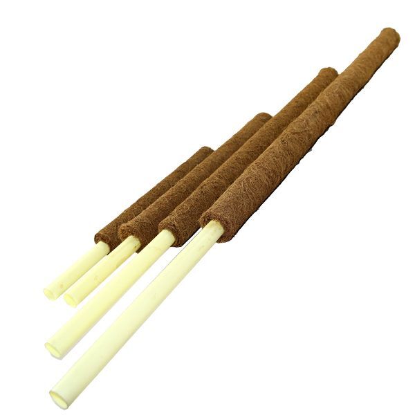 Coir Pole with Jute String